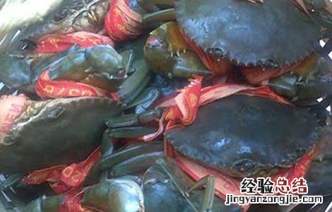 青蟹和大闸蟹哪个好吃 青蟹好还是大闸蟹好