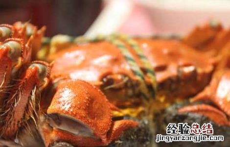 青蟹和大闸蟹哪个好吃 青蟹好还是大闸蟹好