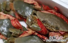 青蟹和大闸蟹哪个好吃 青蟹好还是大闸蟹好