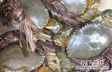 青蟹吃什么食物好养活 青蟹吃什么食物