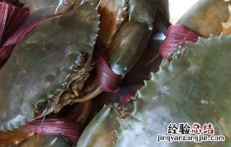 青蟹吃什么食物好养活 青蟹吃什么食物