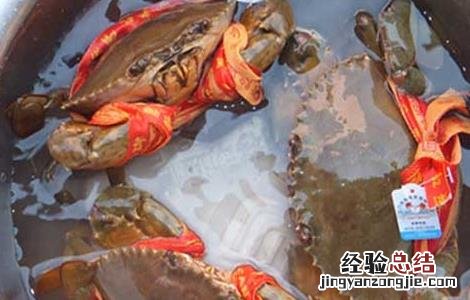 三门青蟹上市时间 三门青蟹什么时候上市