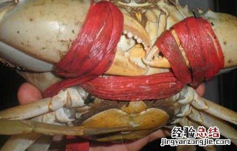 三门青蟹上市时间 三门青蟹什么时候上市