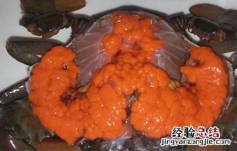 青蟹怎么保存活得久 青蟹怎么保存不会死