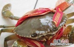 青蟹怎么保存活得久 青蟹怎么保存不会死