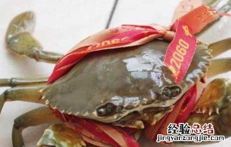 青蟹怎么保存活得久 青蟹怎么保存不会死