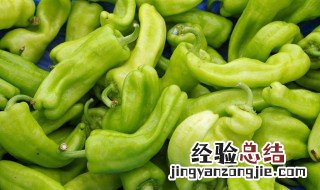 腌制青辣椒的方法家常 腌青辣椒的做法和食用价值
