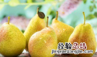 东北冻梨是什么梨做的 东北冻梨的梨子品种
