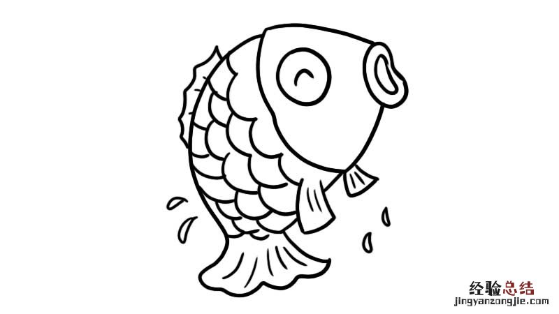 鲤鱼简笔画颜色 鲤鱼简笔画