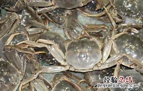 大闸蟹怎么保存一个月不坏 大闸蟹怎么保存