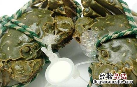 大闸蟹怎么保存一个月不坏 大闸蟹怎么保存