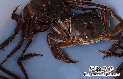 大闸蟹怎么保存一个月不坏 大闸蟹怎么保存