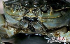 大闸蟹怎么保存一个月不坏 大闸蟹怎么保存