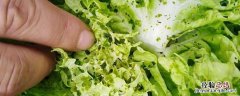 甲维盐氯氰都杀哪些虫 甲维盐氯氰都杀哪些虫果树长麻交子打什么药