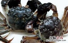 阳澄湖大闸蟹的识别方法 阳澄湖大闸蟹的鉴别方法
