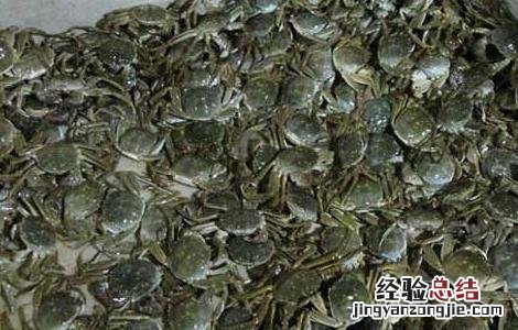 活螃蟹应该怎么保存好 活螃蟹应该怎么保存