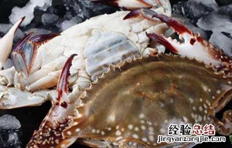 梭子蟹高产养殖技术 梭子蟹高效养殖技术