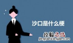 沙口是什么梗 沙口梗的出处介绍