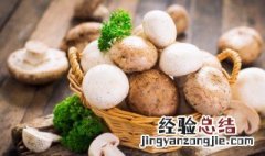 干口蘑怎么泡发 干口蘑如何泡发