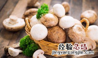 干口蘑怎么泡发 干口蘑如何泡发