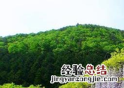 紫藤怎么养殖 紫藤怎么养殖视频