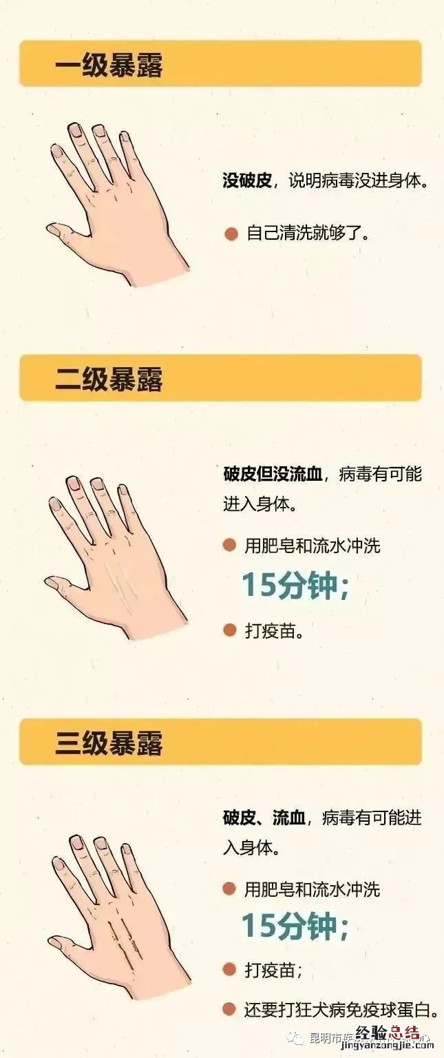 狂犬病暴露的定义及分级、处理原则 狂犬病暴露分级标准一览
