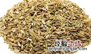 茴香籽的功效与作用 茴香籽有哪些功效与作用