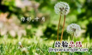 十月加油说说 十月加油的励志说说