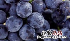 强碱性食物前十名 强碱性食物前十名有哪些