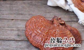 树舌灵芝的功效与作用及禁忌 树舌灵芝的功效与作用食用方法及副作用孓禁忌