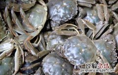 螃蟹水肿病怎么治疗 螃蟹水肿病防治方法