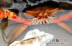 螃蟹生锈斑了怎么办 螃蟹生锈斑了怎么办?