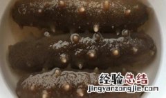海参的食用方法及禁忌 海参宜忌食物