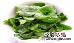 薄荷与十香菜的区别和十香的区别 薄荷和十香菜怎么分别