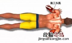 肱三头肌三个头怎么练 肱三头肌三个头如何练