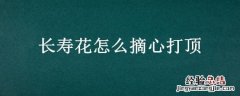 长寿花怎么摘心打顶 长寿花怎样摘心打顶