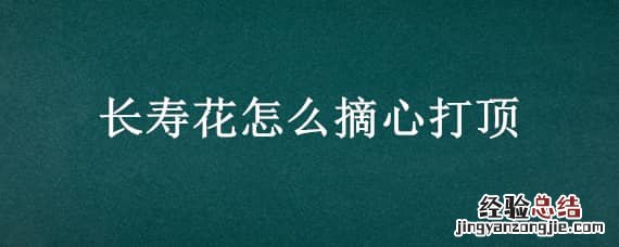 长寿花怎么摘心打顶 长寿花怎样摘心打顶