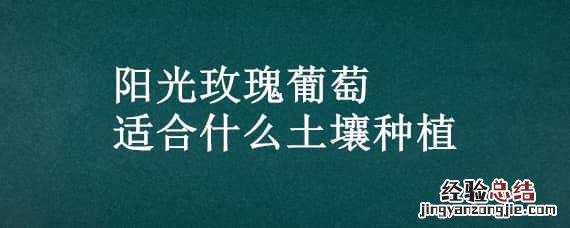 阳光玫瑰葡萄种植要求 阳光玫瑰葡萄适合什么土壤种植