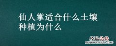 仙人掌适合种植在什么土壤中 仙人掌适合什么土壤种植为什么