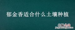 郁金香适合什么土壤种植 郁金香适合什么样的土壤