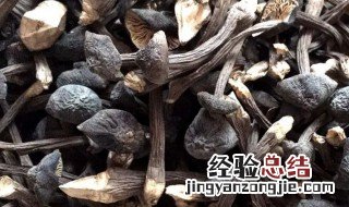 干制鸡枞菌怎么泡发烹调 干鸡枞菌怎么泡发