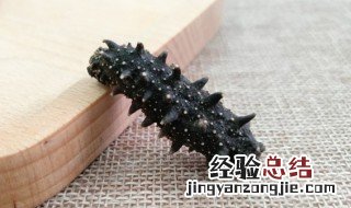 冰冻海参怎么泡发 冷冻泡发海参的做法与吃法