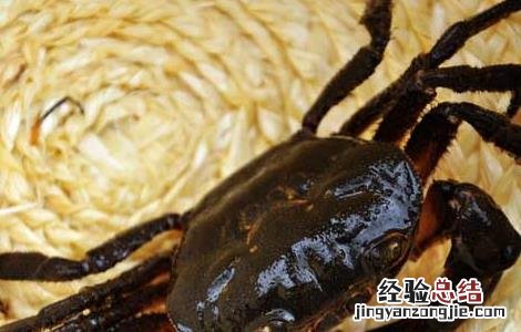 河蟹敌病害防治技术 河蟹敌病害防治技术规程