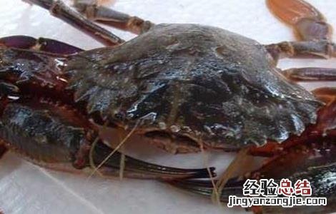 螃蟹养殖中螃蟹吃什么 螃蟹养殖中螃蟹吃什么东西