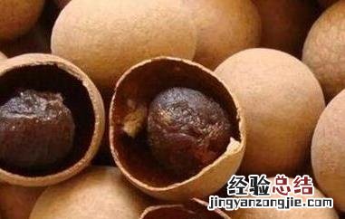 干桂圆的功效和作用 吃干桂圆有什么功效和作用