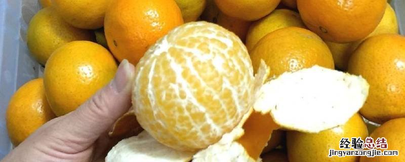 是橘还是桔 橘桔区别