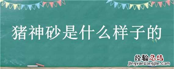 猪神砂是什么样子的 猪神砂作用