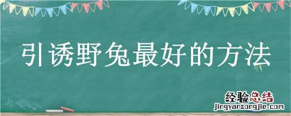 如何吸引野兔子 引诱野兔最好的方法