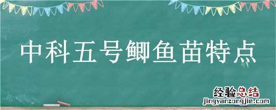 中科5号鲫鱼苗 中科五号鲫鱼苗特点
