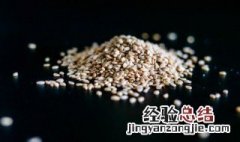 芝麻炒之前要洗吗 芝麻洗完可以直接炒吗